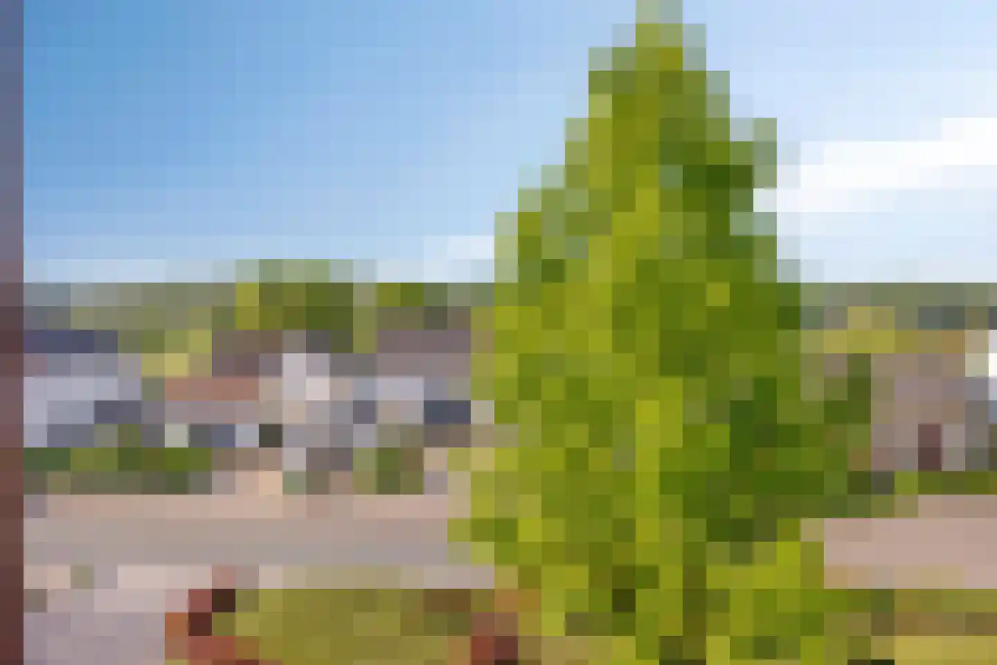 Strabeek 14 Valkenburg thumbnail 19