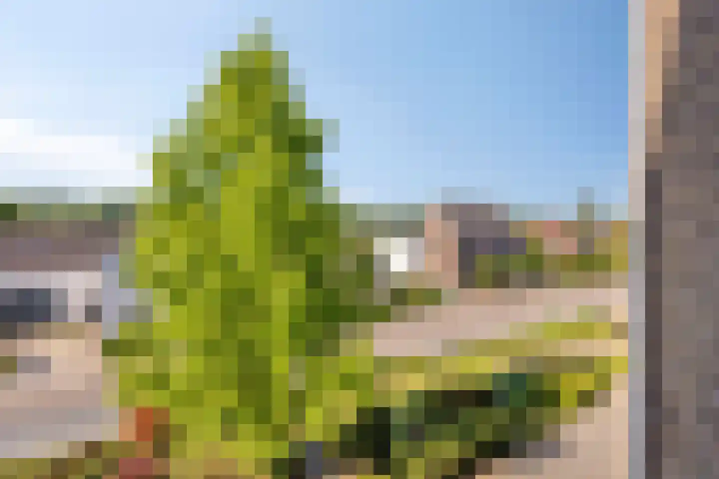 Strabeek 14 Valkenburg thumbnail 26