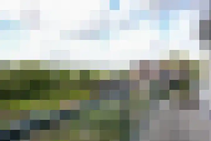 Strabeek 37 Valkenburg thumbnail 26