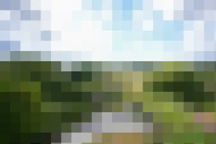 Strabeek 37 Valkenburg thumbnail 27