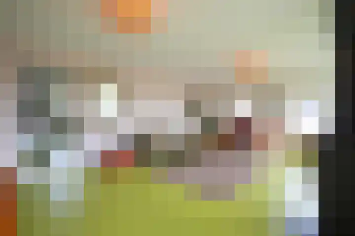 Strabeek 37 Valkenburg thumbnail 29