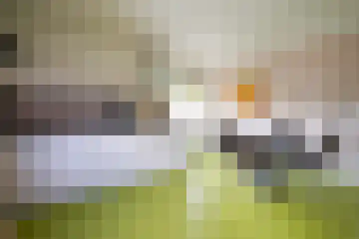Strabeek 37 Valkenburg thumbnail 31