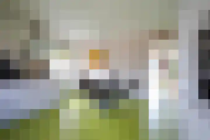 Strabeek 37 Valkenburg thumbnail 32