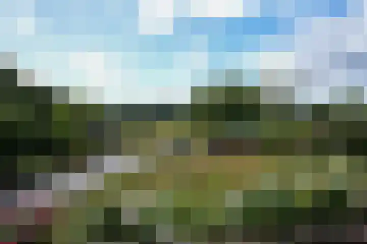 Strabeek 37 Valkenburg thumbnail 49