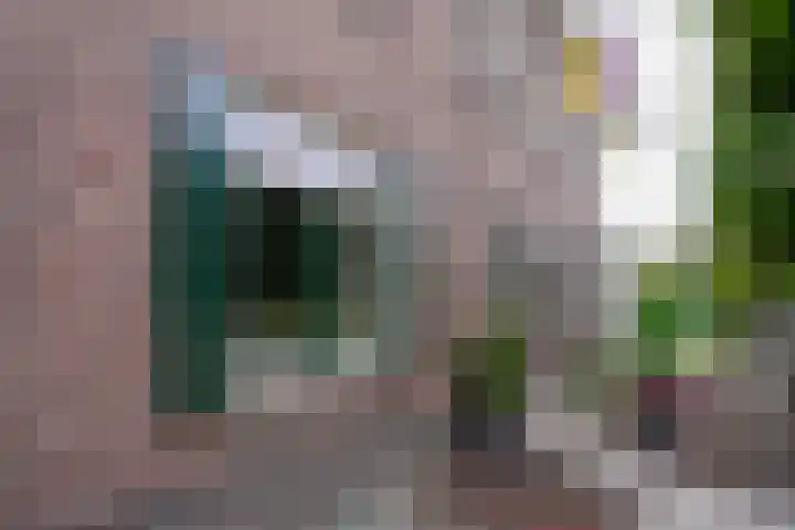 Strabeek 37 Valkenburg thumbnail 5