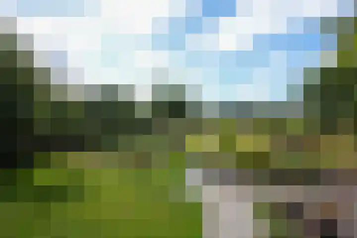 Strabeek 37 Valkenburg thumbnail 59