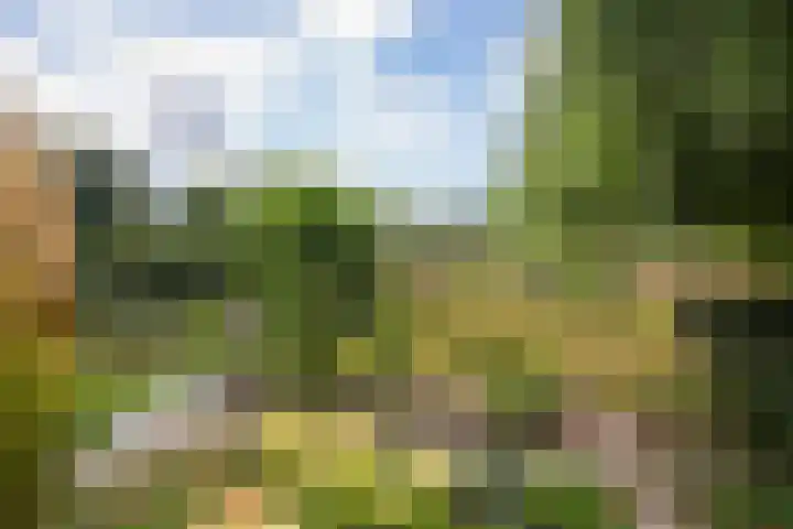 Strabeek 37 Valkenburg thumbnail 60