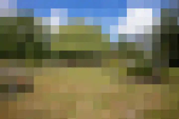 Strabeek 37 Valkenburg thumbnail 63