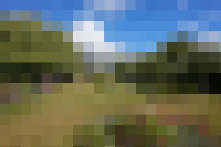 Strabeek 37 Valkenburg thumbnail 64