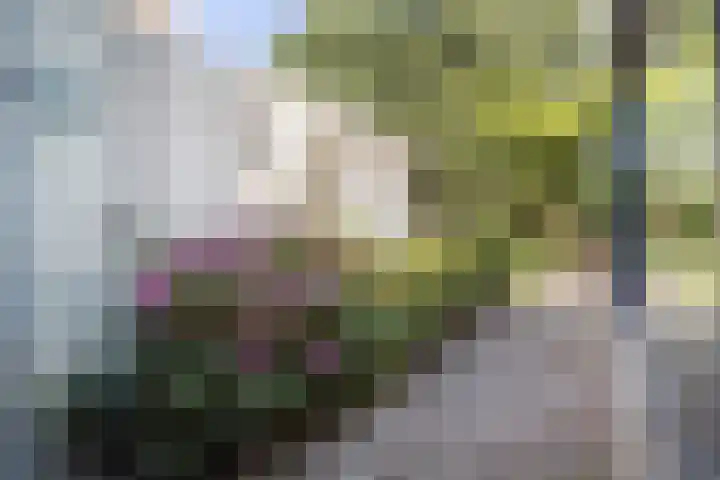 Strabeek 52 Valkenburg thumbnail 22