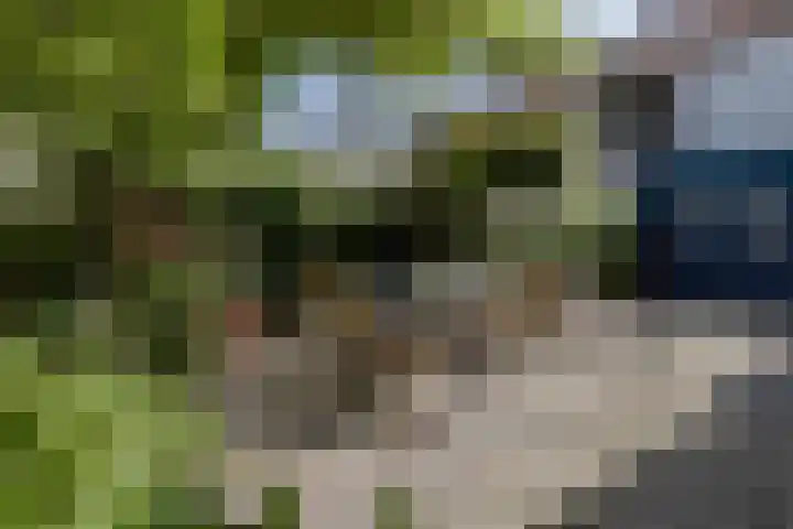 Strabeek 52 Valkenburg thumbnail 23