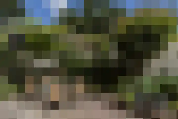 Strabeek 52 Valkenburg thumbnail 25