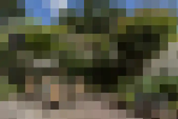 Strabeek 52 Valkenburg thumbnail 5
