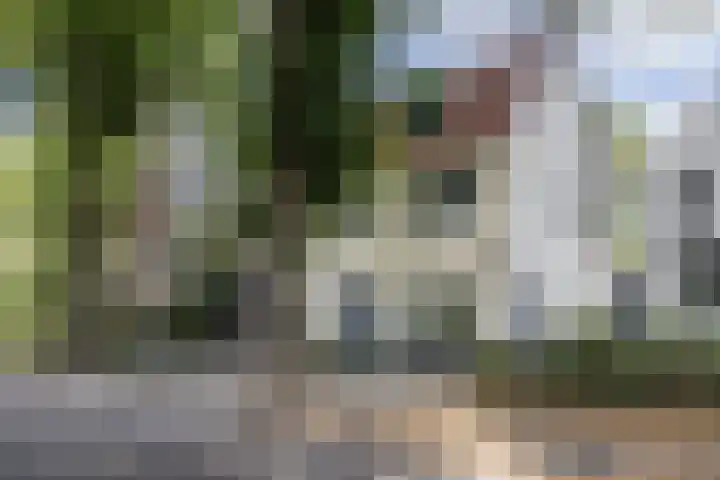 Strabeek 52 Valkenburg thumbnail 6