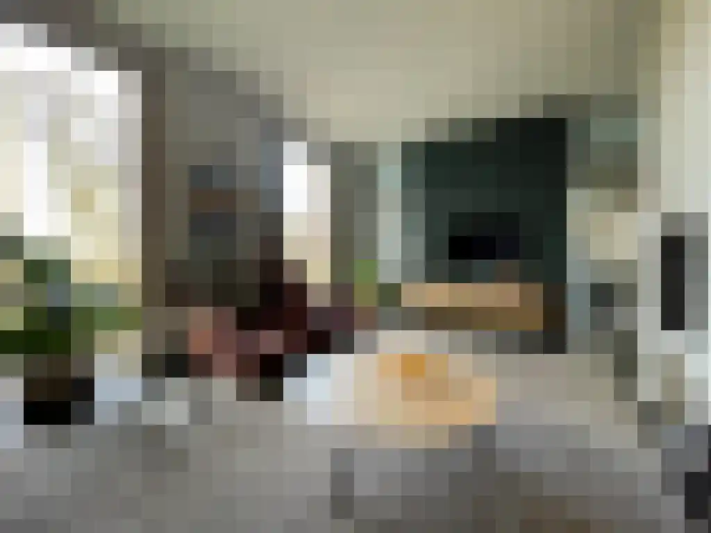Strabrecht 39 Heeze thumbnail 4