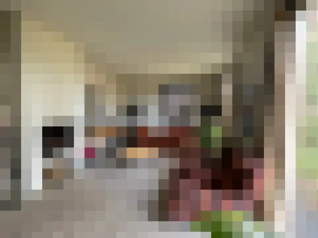 Strabrecht 39 Heeze thumbnail 5