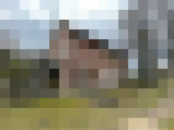 Strabrecht 39 Heeze thumbnail 7