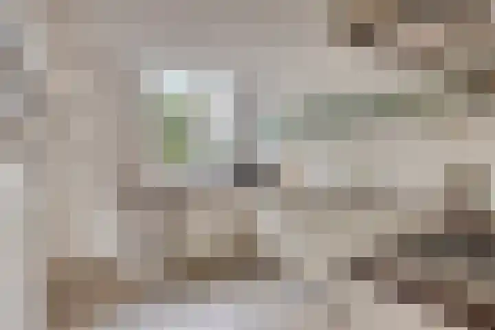 Stradivariusstraat 193 Amersfoort thumbnail 5