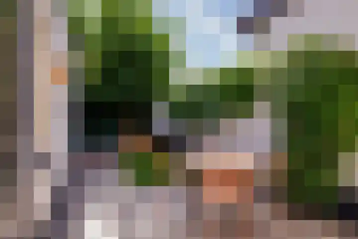 Straelseweg 208 Venlo thumbnail 41