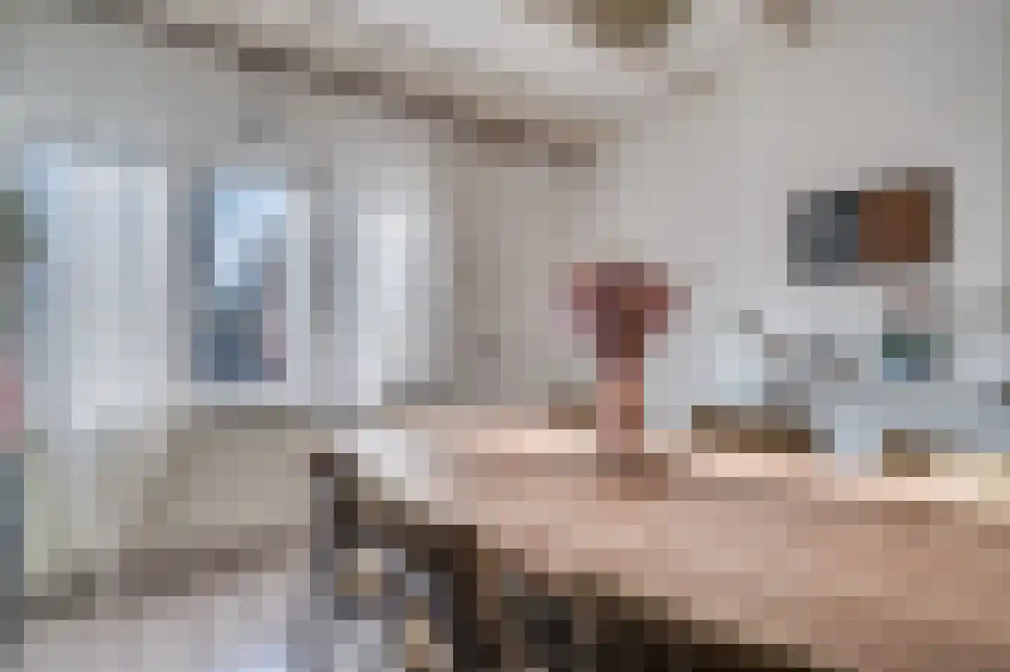 Straelseweg 212 Venlo thumbnail 13