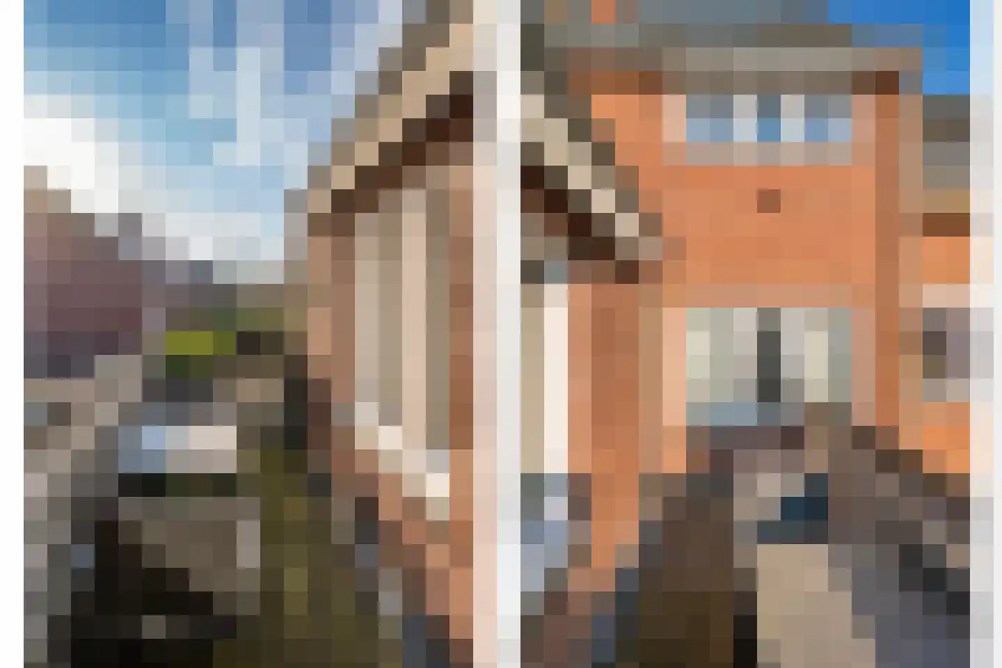 Straelseweg 212 Venlo thumbnail 17