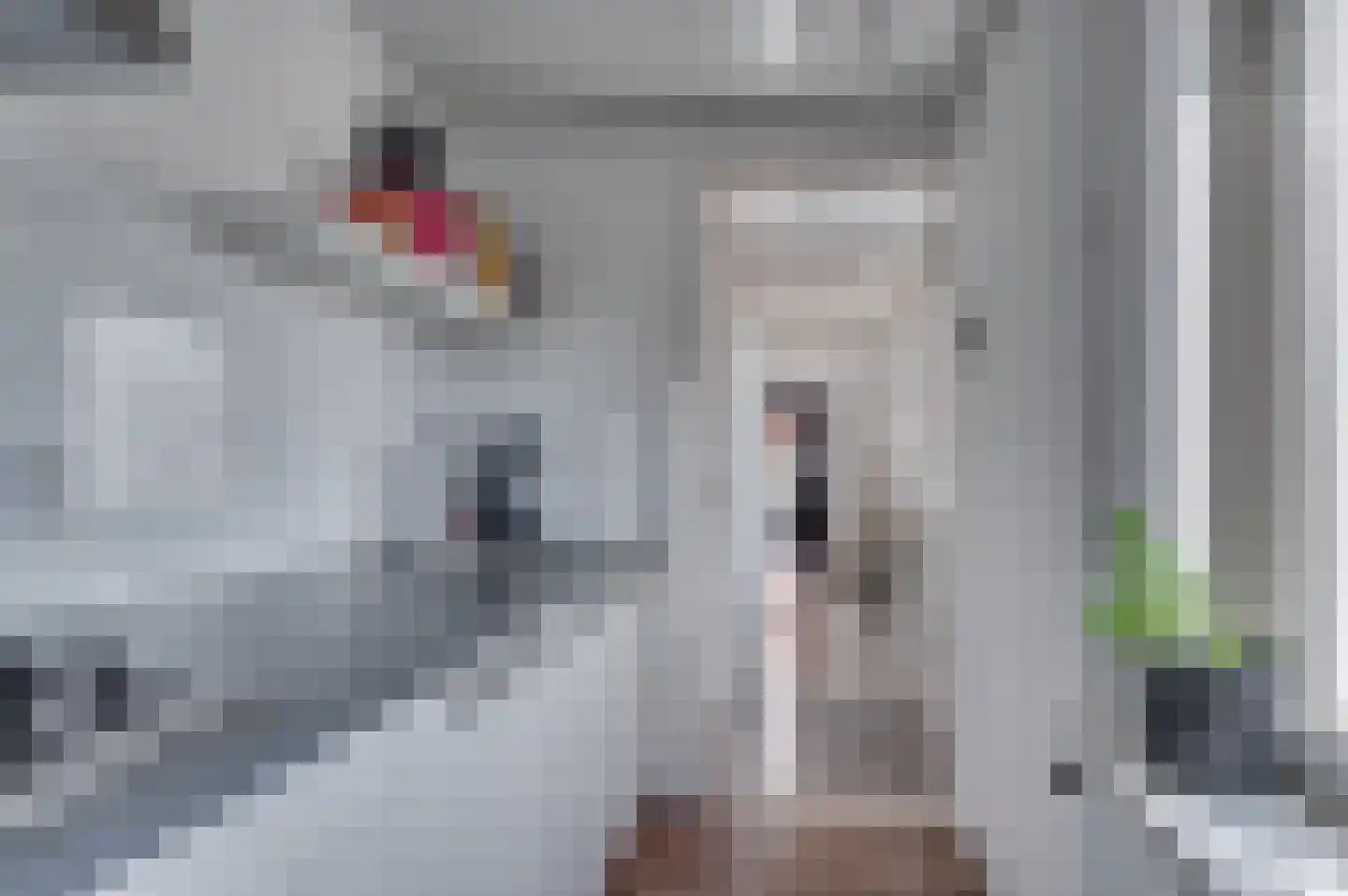Straelseweg 212 Venlo thumbnail 20