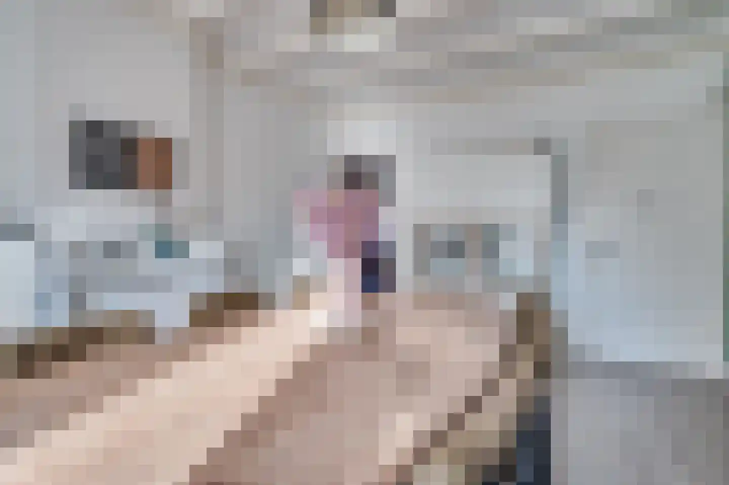 Straelseweg 212 Venlo thumbnail 23