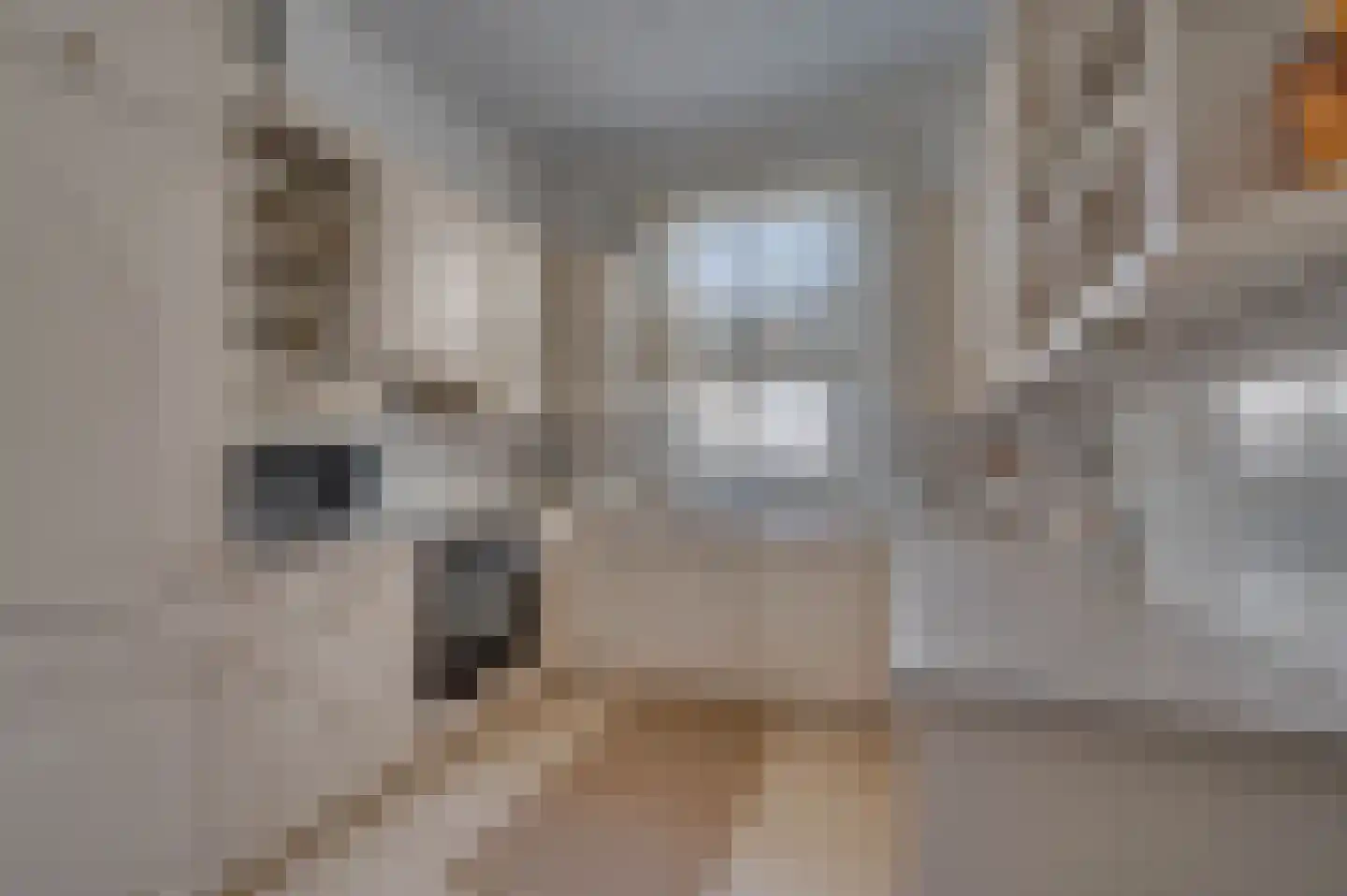 Straelseweg 25 Venlo thumbnail 10