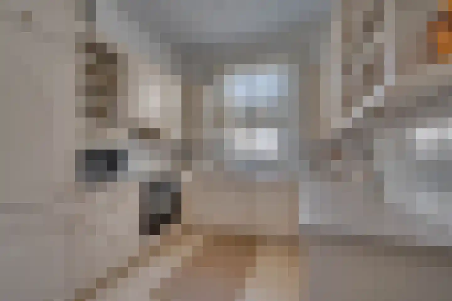 Straelseweg 25 Venlo thumbnail 23