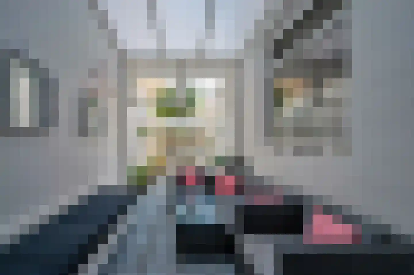 Straelseweg 25 Venlo thumbnail 26