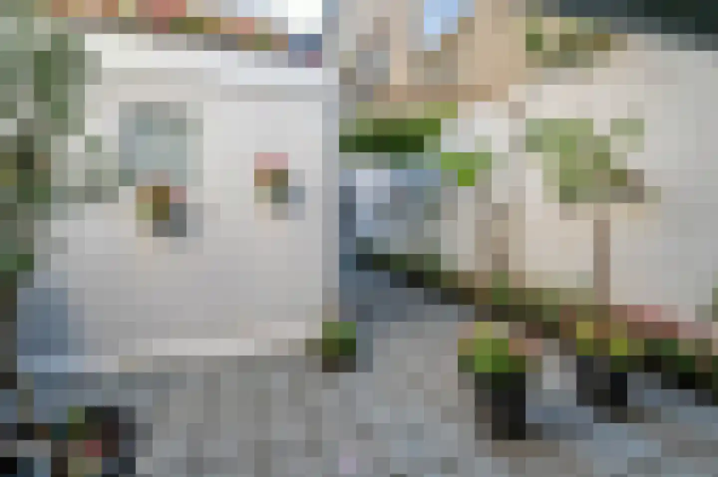 Straelseweg 25 Venlo thumbnail 30