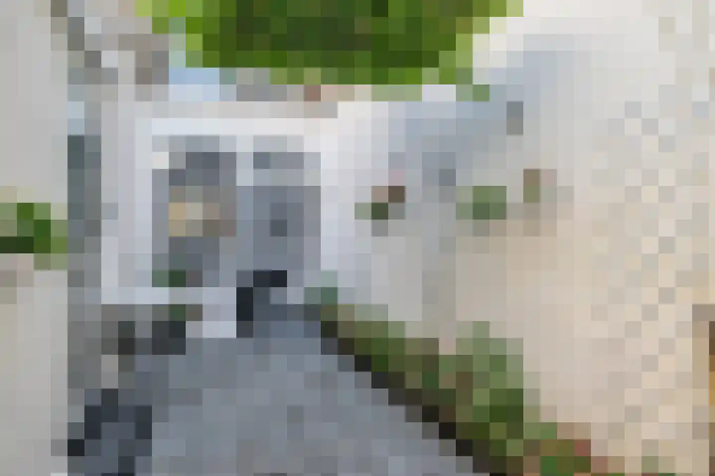 Straelseweg 25 Venlo thumbnail 31