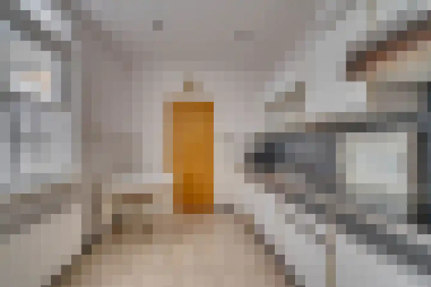 Straelseweg 25 Venlo thumbnail 35