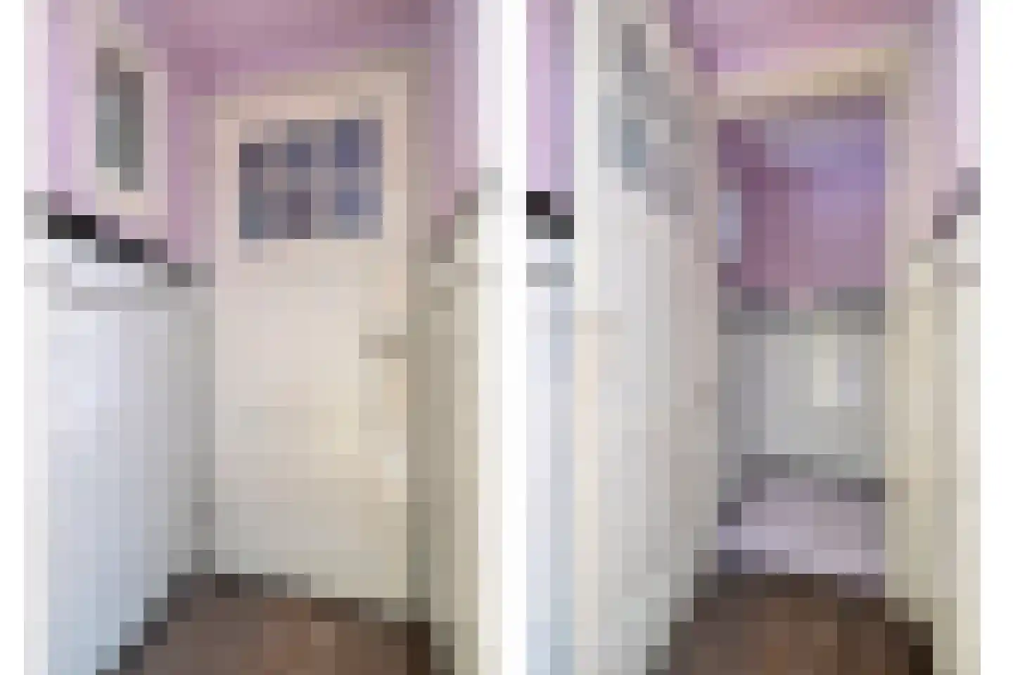 Straelseweg 28 Venlo thumbnail 26