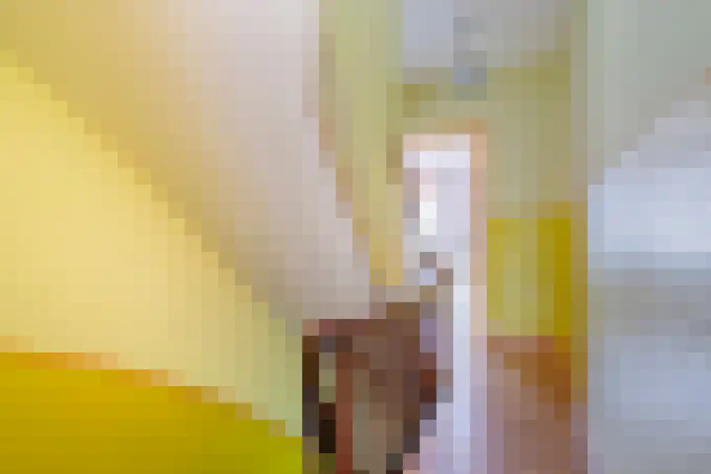 Straelseweg 28 Venlo thumbnail 27
