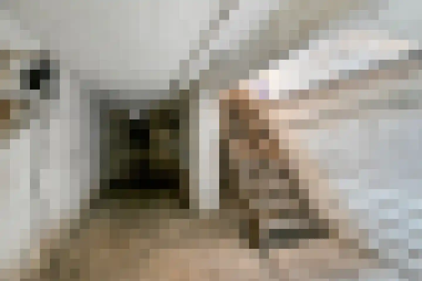 Straelseweg 28 Venlo thumbnail 34