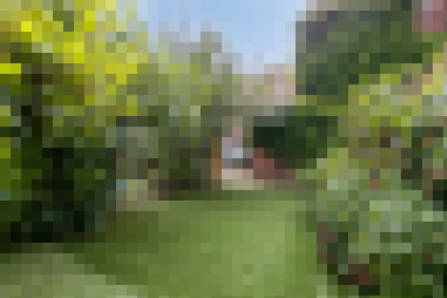 Straelseweg 28 Venlo thumbnail 41