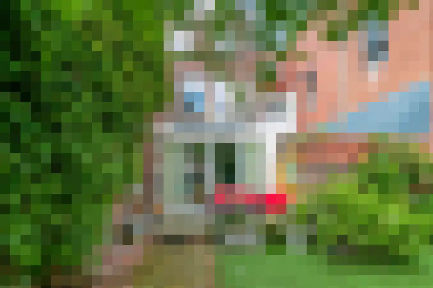 Straelseweg 28 Venlo thumbnail 42