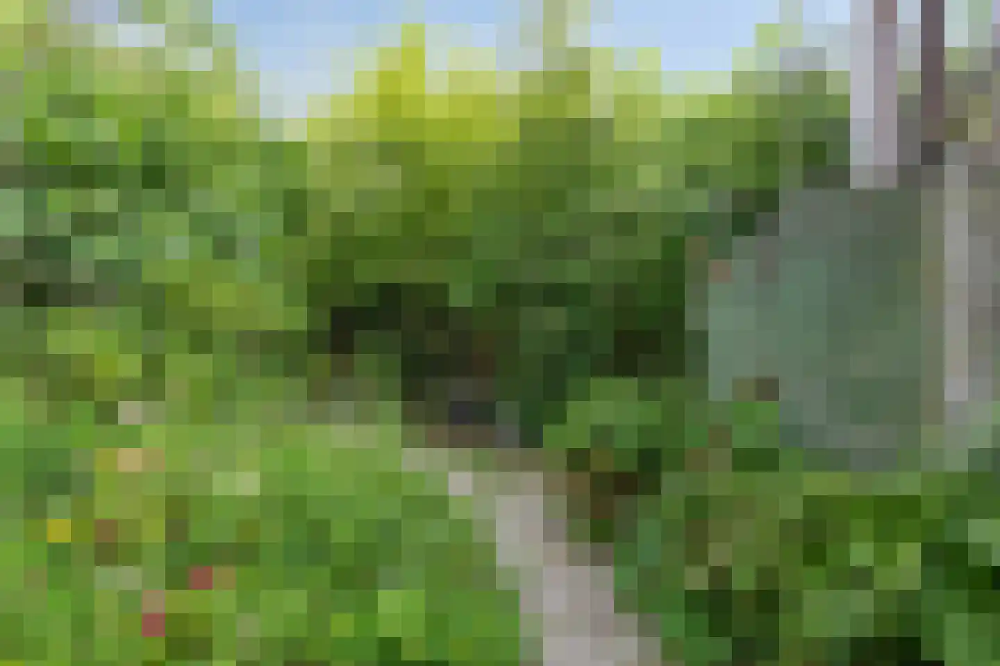 Straelseweg 28 Venlo thumbnail 47