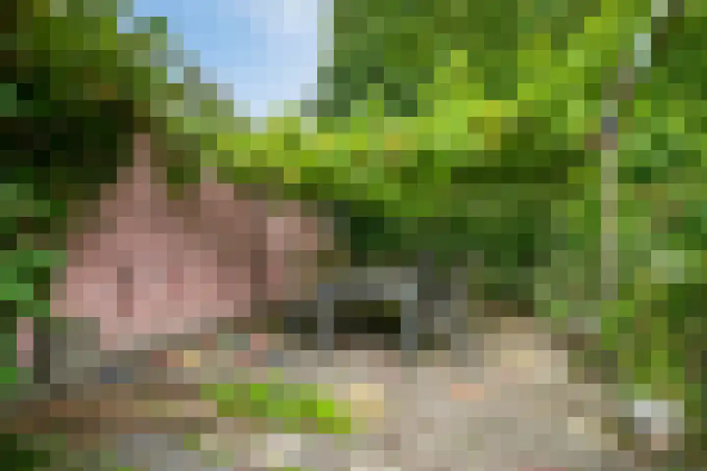 Straelseweg 28 Venlo thumbnail 49