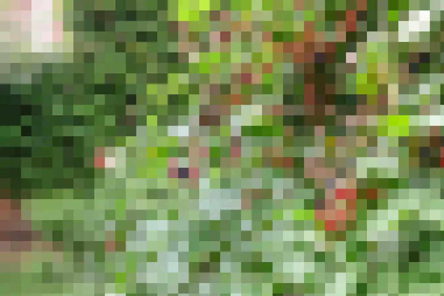 Straelseweg 28 Venlo thumbnail 51
