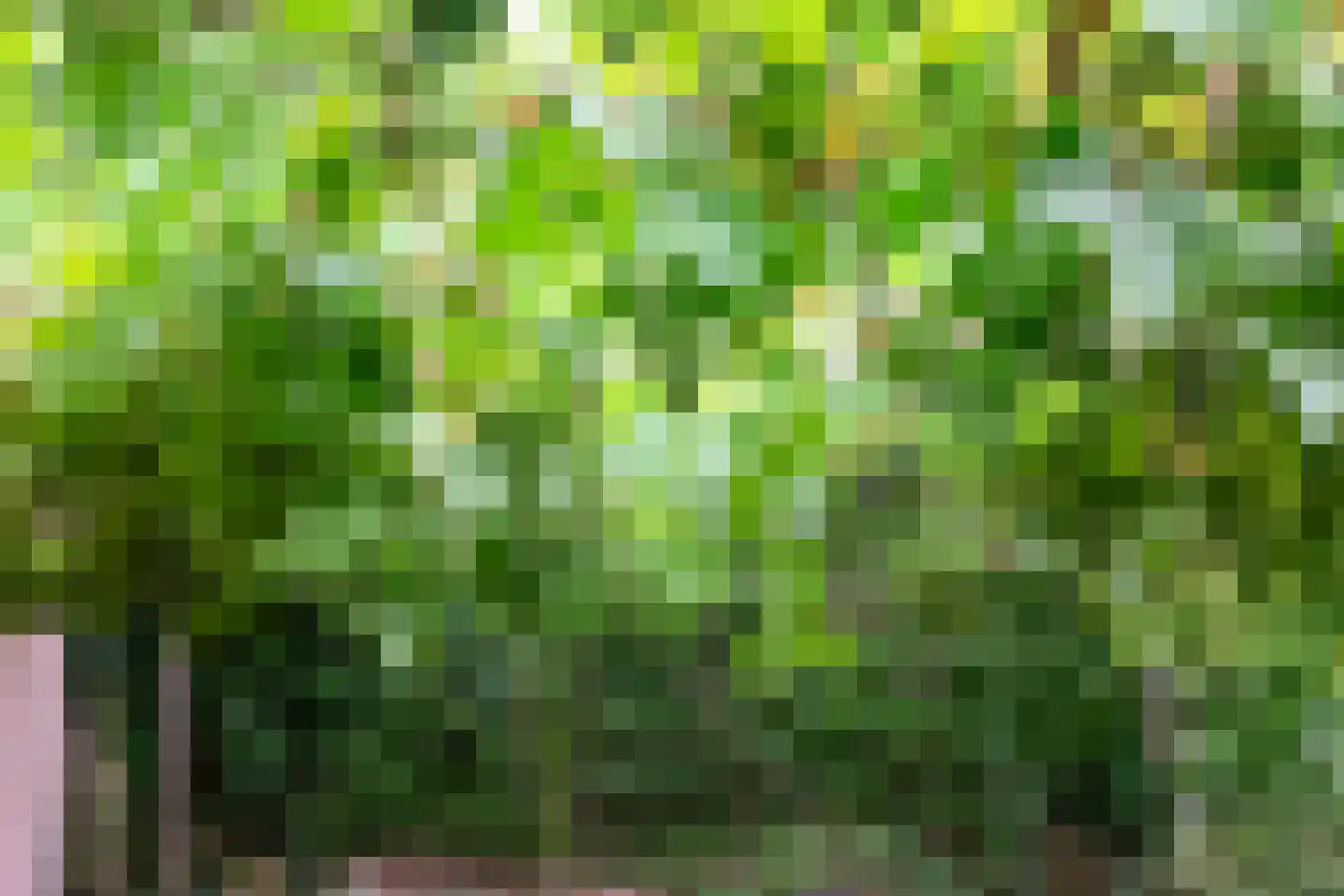 Straelseweg 28 Venlo thumbnail 53