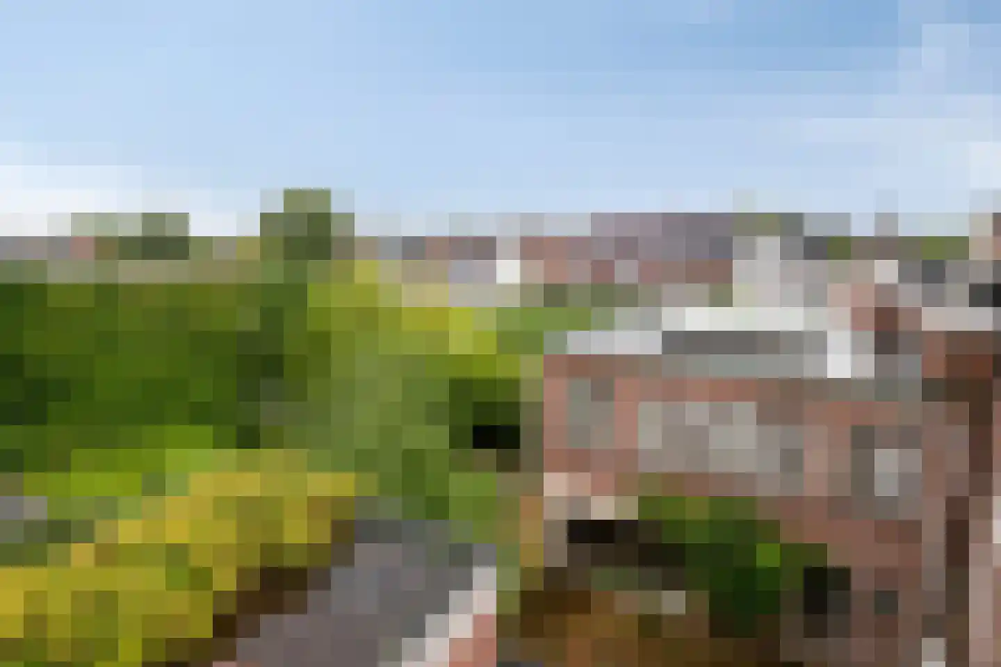 Straelseweg 28 Venlo thumbnail 85