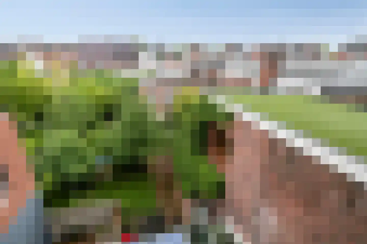 Straelseweg 28 Venlo thumbnail 86