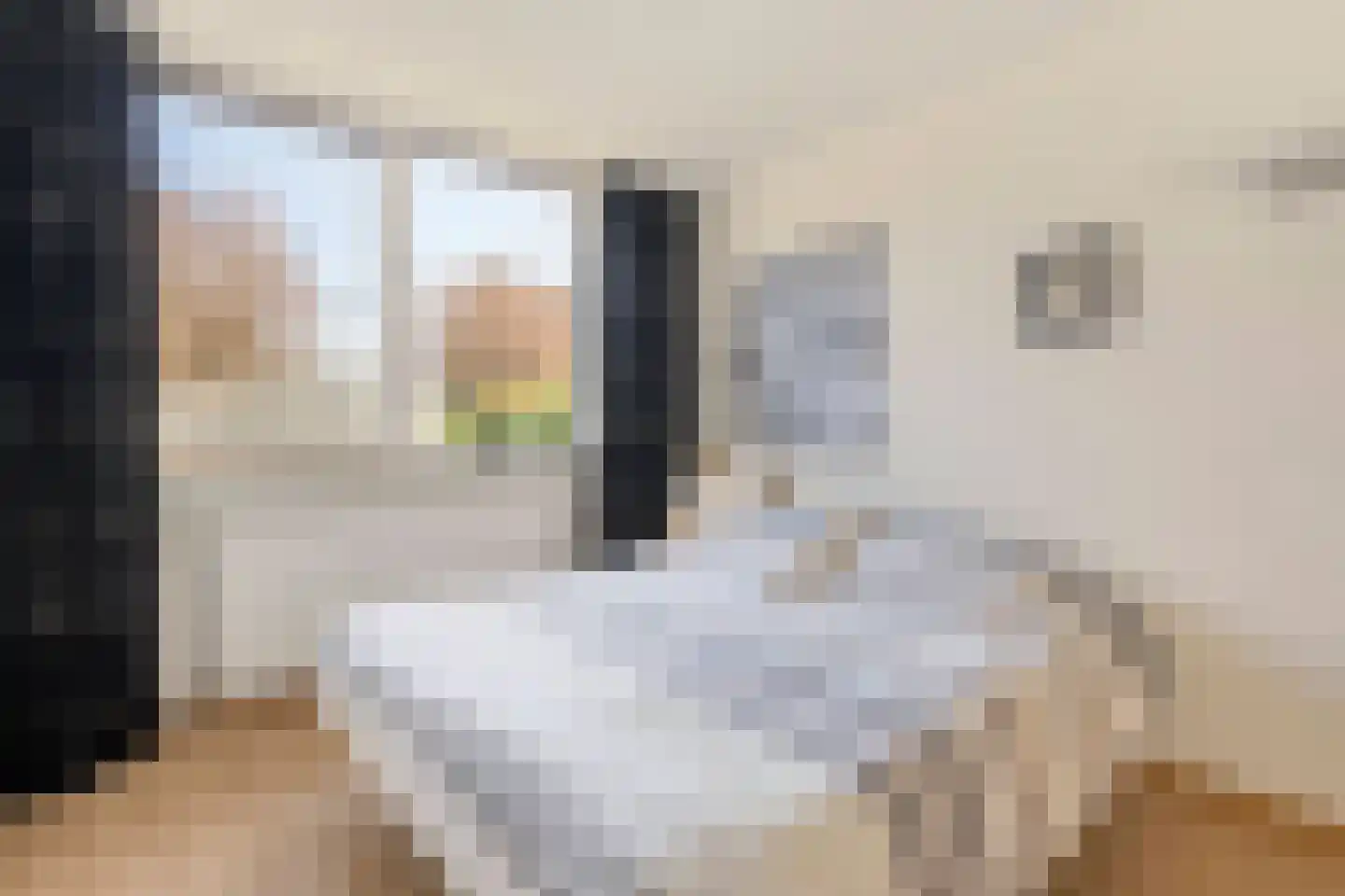 Straelseweg 31 A Velden thumbnail 18