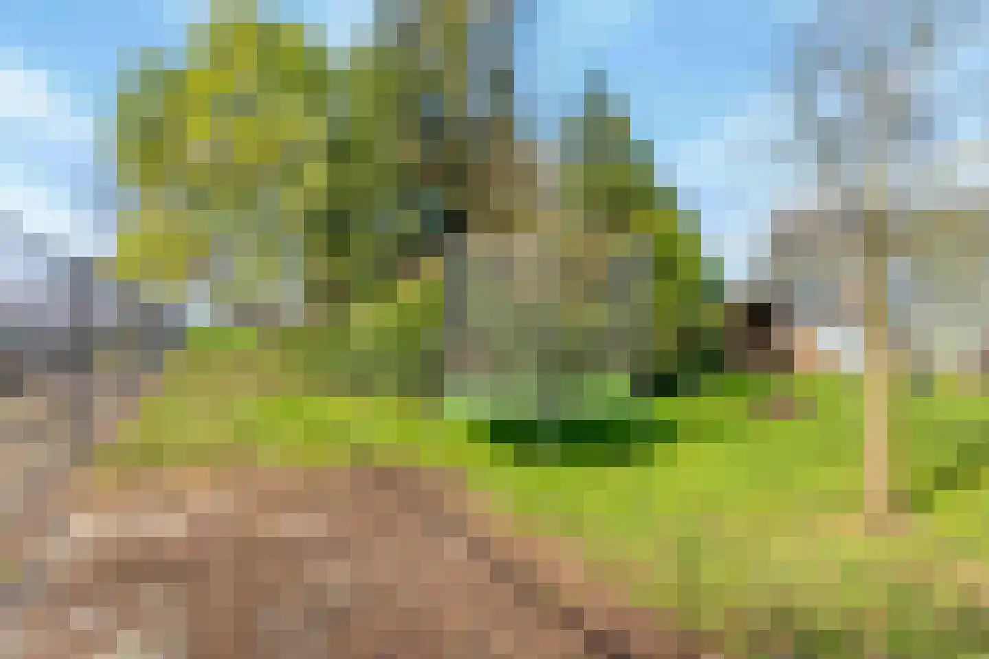 Straelseweg 31 A Velden thumbnail 31