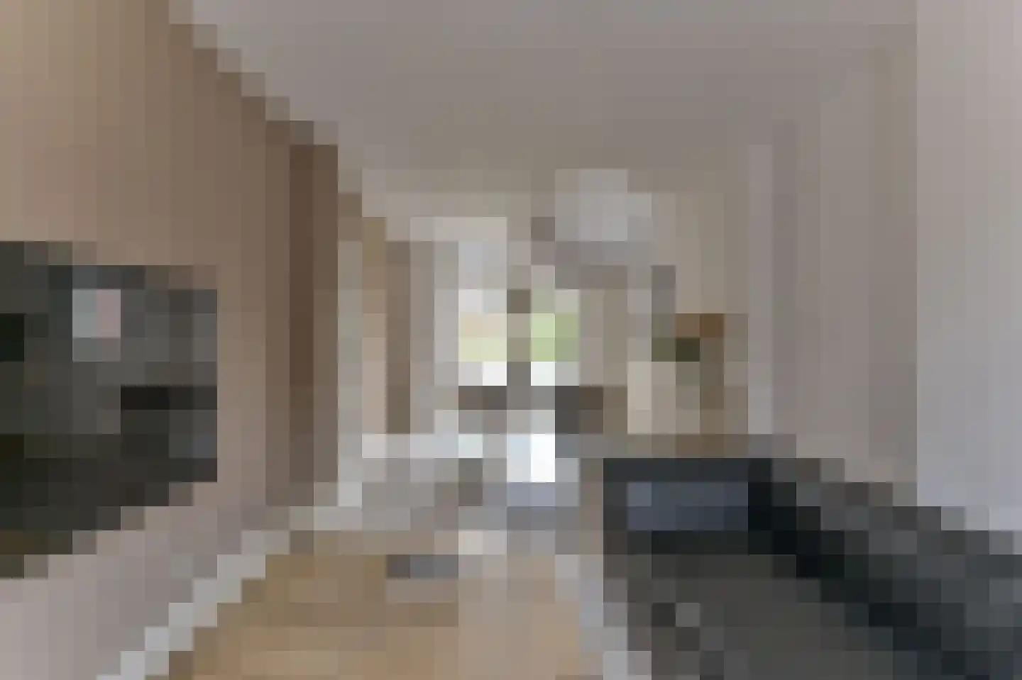 Straelseweg 34 Venlo thumbnail 10