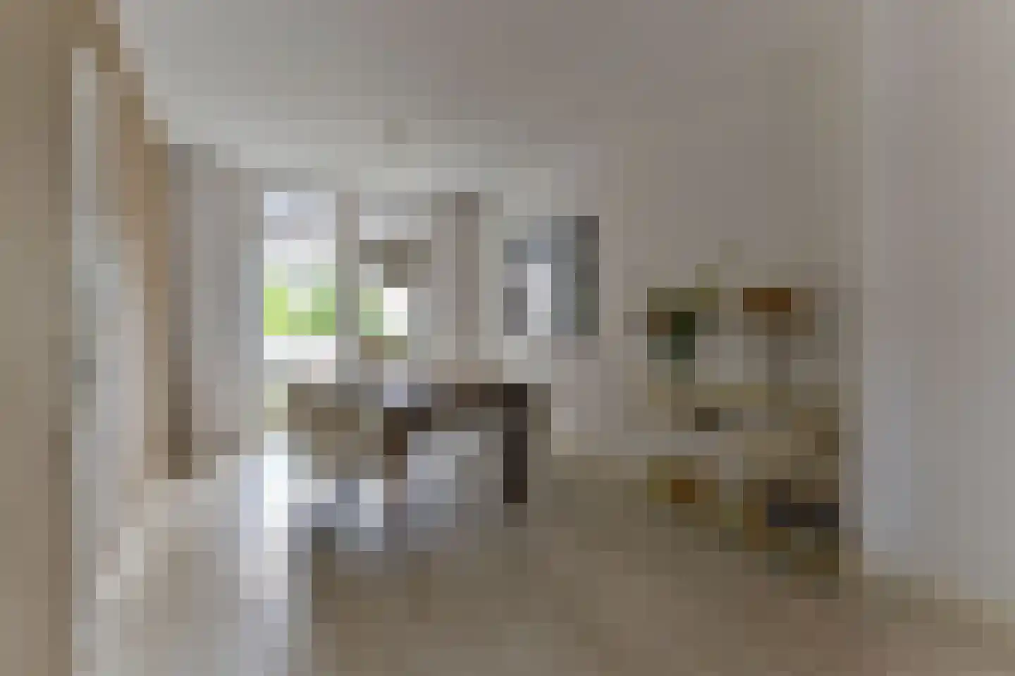 Straelseweg 34 Venlo thumbnail 8