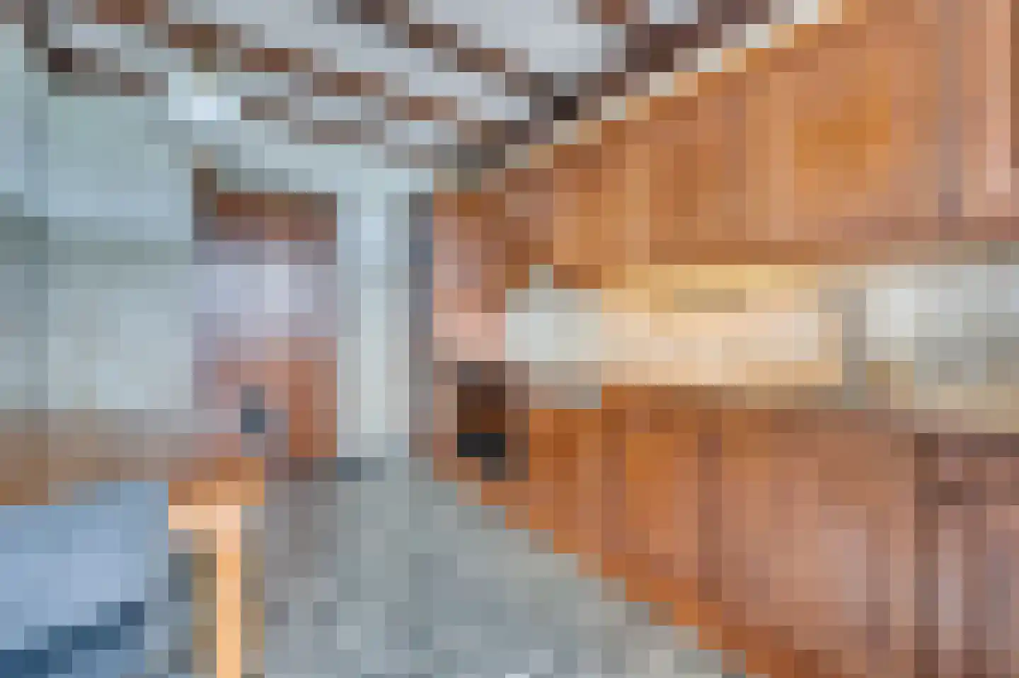 Straelseweg 640 Venlo thumbnail 13