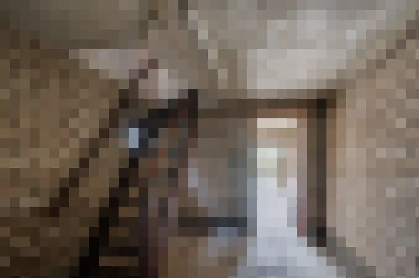 Straelseweg 640 Venlo thumbnail 35